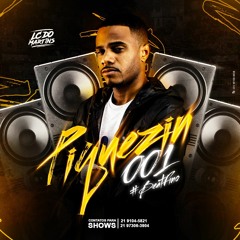 PIQUEZIN LC DO MARTINS 2020 BEAT FINO [ DJ LC DO MARTINS ]