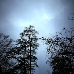 trailing vapors