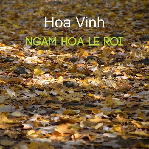 Ngắm Hoa Lệ Rơi - Hoa Vinh