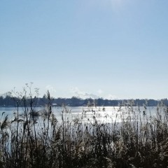 Seemannsgarn