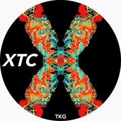 TKG - Risk (Original Mix)