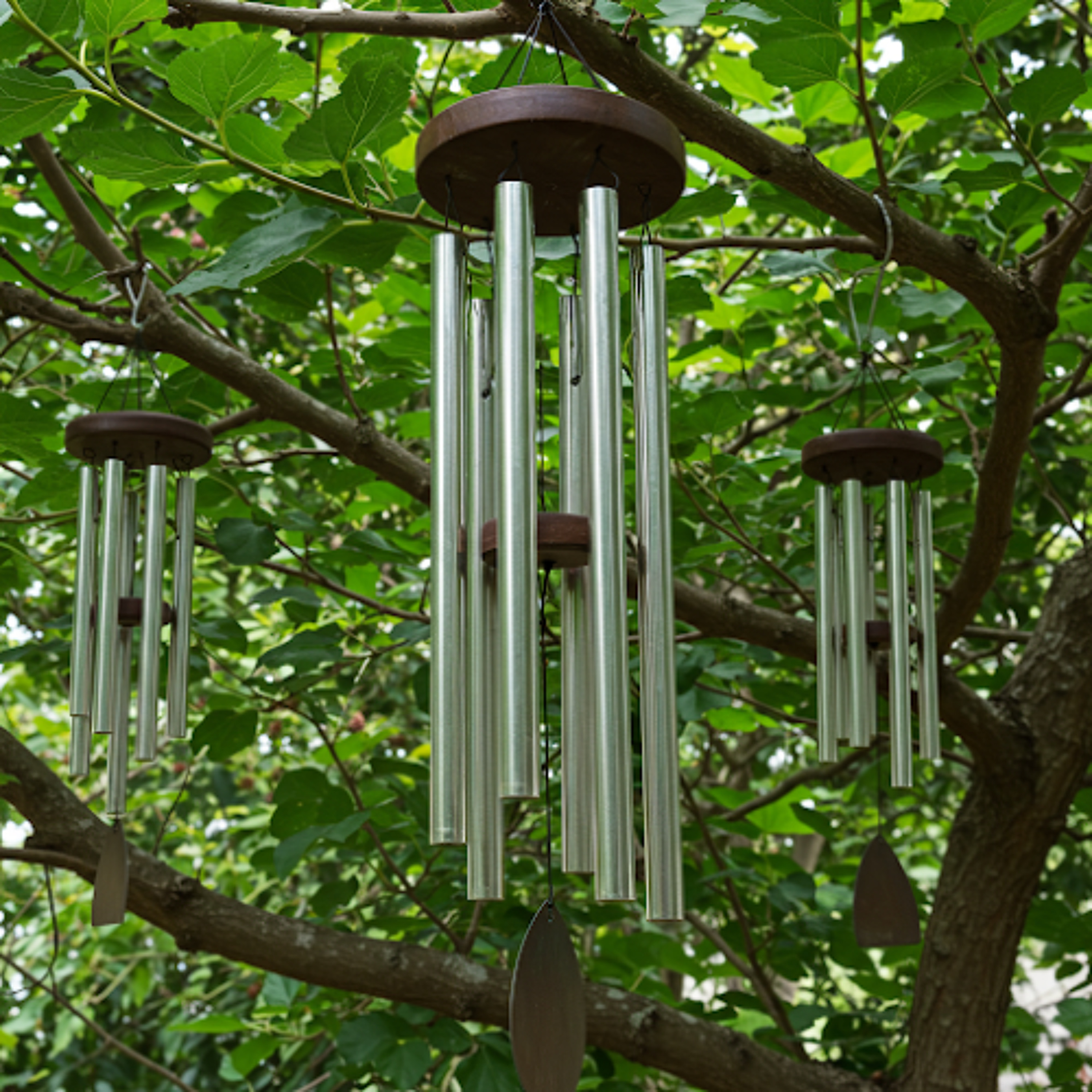 windchimes episode artwork