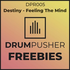 Destiny - Free The Mind (DPR005)