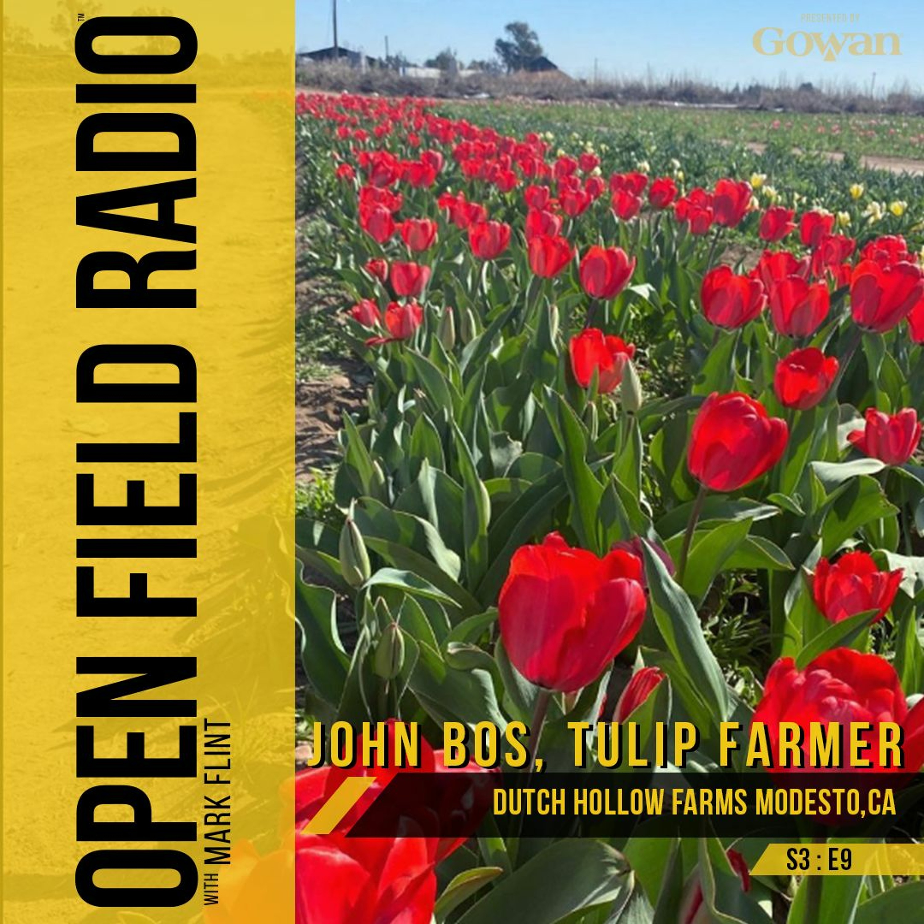 The Prize of Kings and Queens - John Bos, Tulip Farmer, Dutch Hollow Farms
