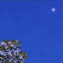 CIEL BLEU (feat. Yay boop)