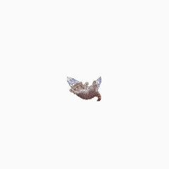 prada [prod.kndrck]