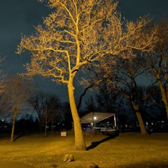 improvised medtation ii