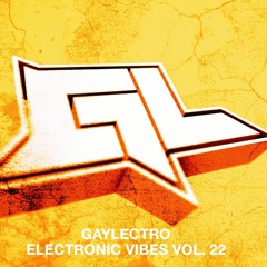 GAYLECTRO - ELECTRONIC VIBES VOL. 22