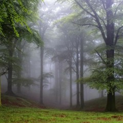 (Civil title background 👳‍♂️ FREE DOWNLOAD