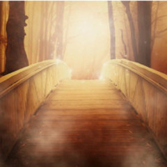 Spot Puente de Luz