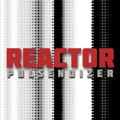 Pulsenoizer - Reactor