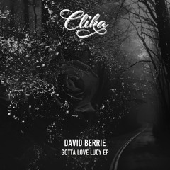 David Berrie - Gotta Love Lucy (Original Mix) [Vatos Locos] [MI4L.com]