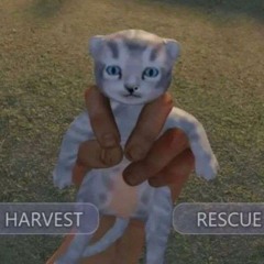 Tryna sleep rn playlist