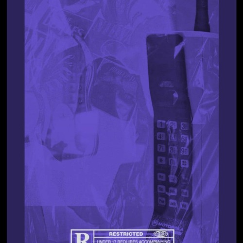 PHONE w/ Kaden Le & Octavian Cesar