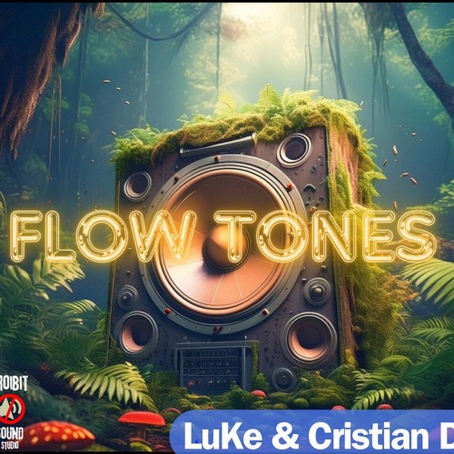 LuKe & Cristian D - FLOW TONES (PREVIEW) out Now on Beatport