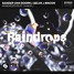 Sander Van Doorn X Selva X Macon Feat. Chacel - Raindrops (Vlad Cousto Remix)