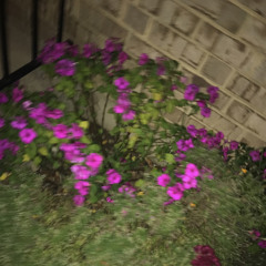 smokingskul - shoulder (twovrt + rockyythugn)