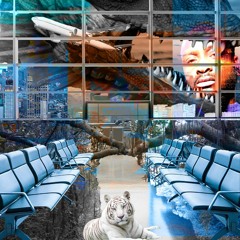 TG Bud - Airport Terminal
