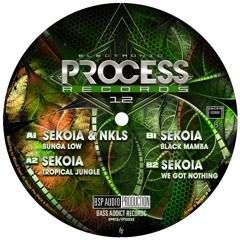 Electronic Process Records 12 - B2 Sekoia - We Got Nothing