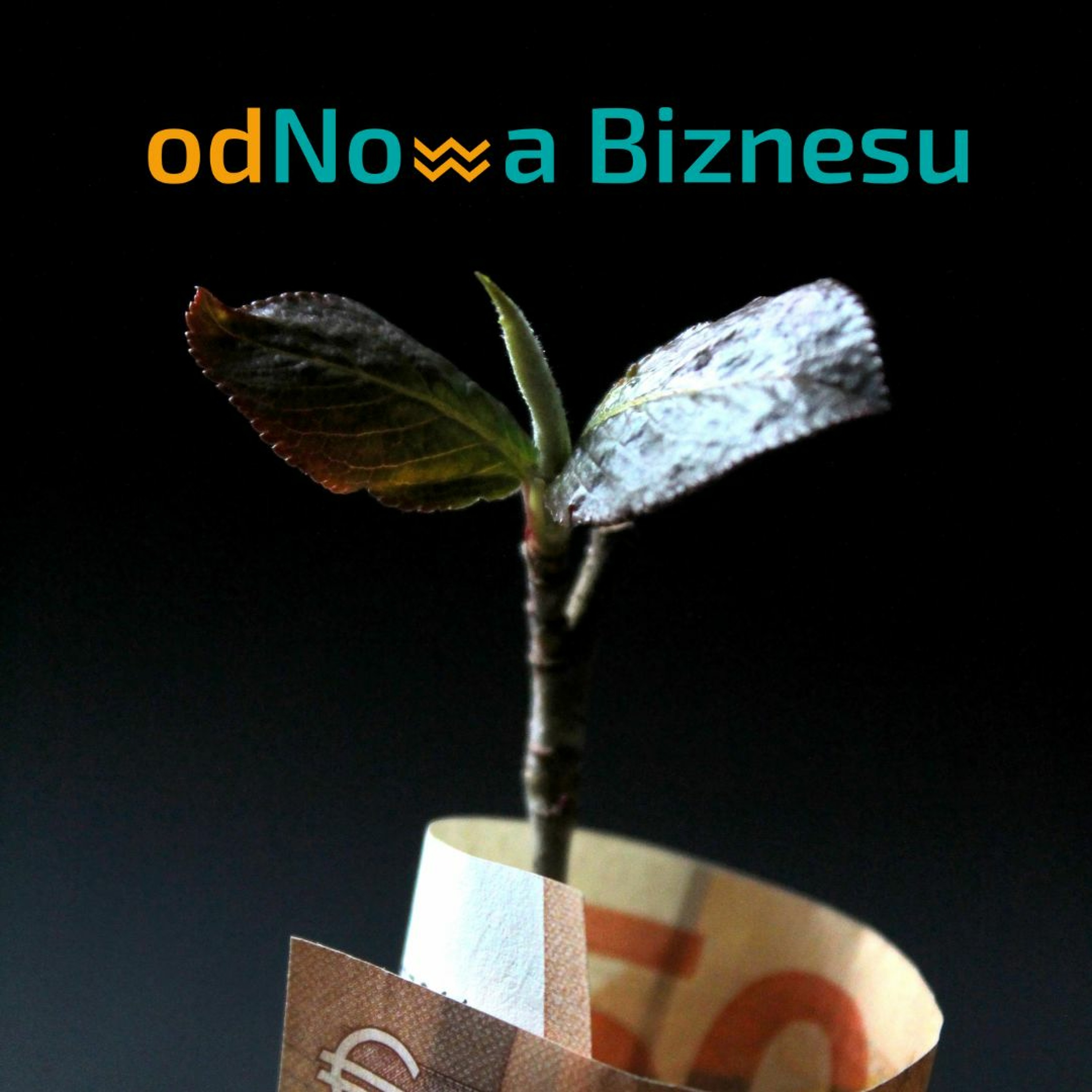 Diagnoza biznesu w Polsce po 1990 roku || Odcinek 02 episode artwork
