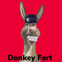 Donkey Fart