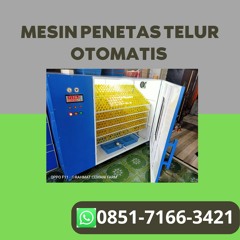 Distributor Harga Mesin Penetas Telur Otomatis Kapasitas 50 Di Sleman Yogyakarta