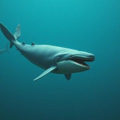 Officer Or OverKeeper🖕🏿.wav