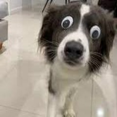 bussinn (throws up fours #gangmember)