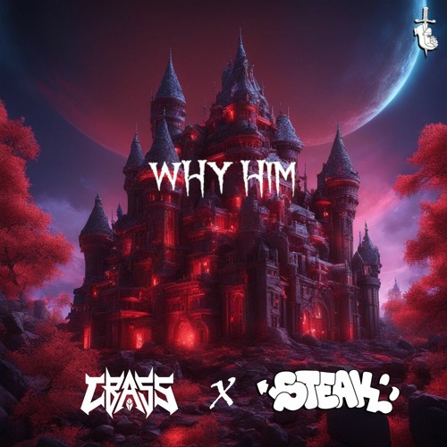 CBASS X STEAK - WHY HIM (Free DL)