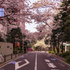 pathetic悲愴yuskeと