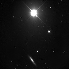 Chi Ursae Majoris