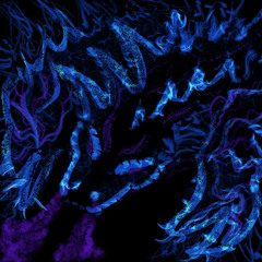 draco {2020} - x gxxk.wav