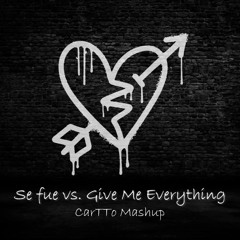 Se Fue VS. Give Me Everything - Minutti Mashup (Filtred for CR)