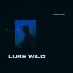 Luke Wild - Drop Me Off In The Sky