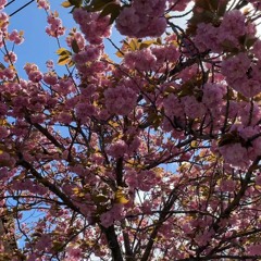 Light (feat. Raelle)