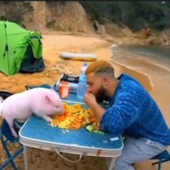 Find Your Ham (HamCore) - Harassment