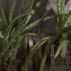 Meditation: A Calm in a Hectic world