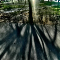 New Instinct (intro)