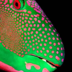 not your toy- la roux (gogimal flip)