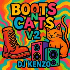 boots and cats riddim v2