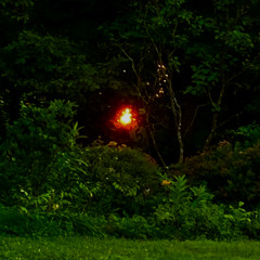 Bare-Witness, Fire and Dragon Flies Dance Wildly on the Pen's Tip