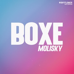 Molisky - Boxe