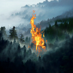 Parasite Like Fire