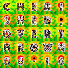 Dan Le Sac – Cherished, Overthrown