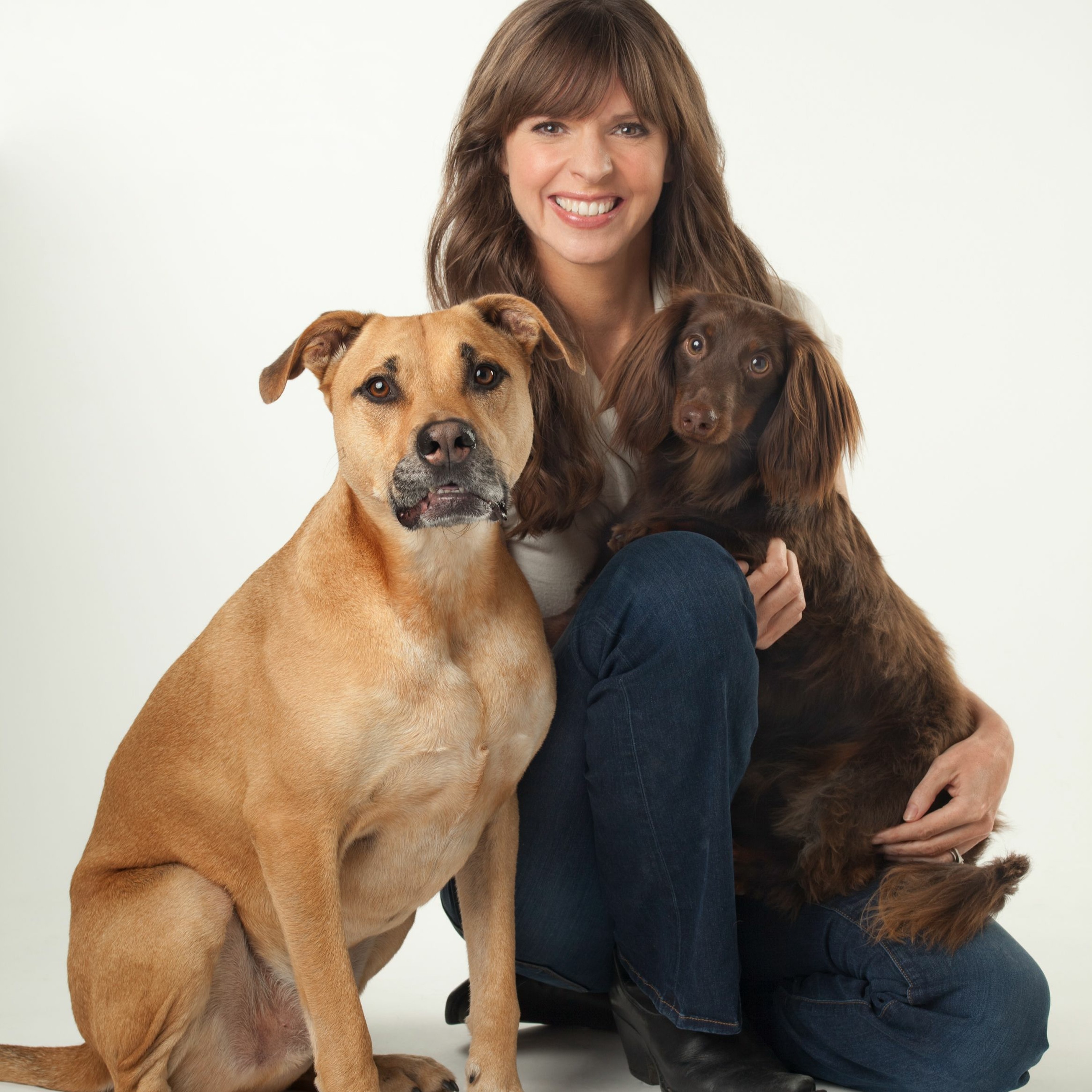 Fear Free Pets
