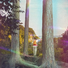 Listen To The Forest