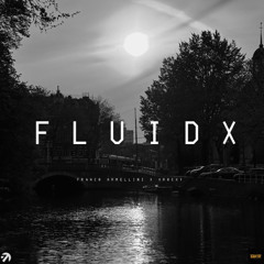 FLUID X