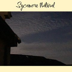 SYCAMORE NATURAL