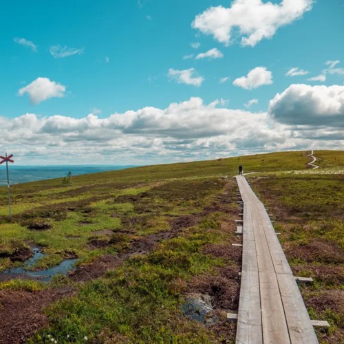 I wanna be a good boy, I wanna be a gangster