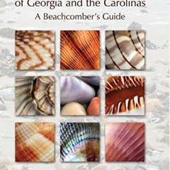 =$ Seashells of Georgia and the Carolinas =Online$